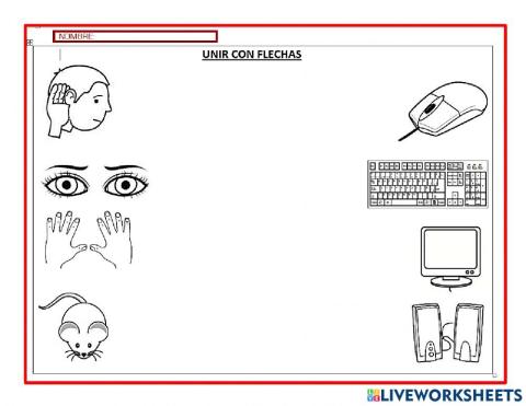 Partes de la computadora