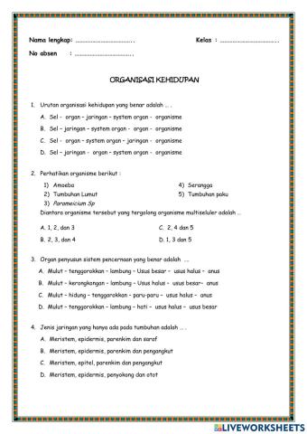 Organisasi Kehidupan