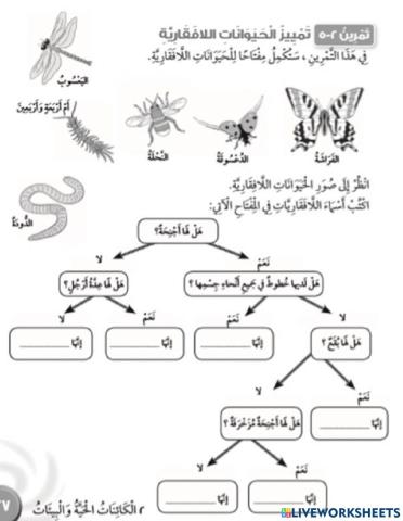 تمييز الحيوانات الافقارية