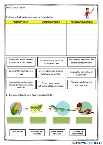 Ecosistemas: relaciones alimentarias