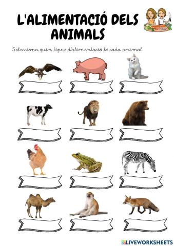 Alimentació animals