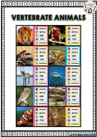 Vertebrate animals