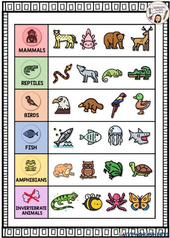 Vertebrate animals