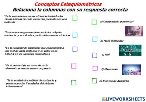 Actividad Química