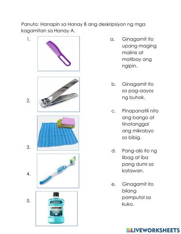 Mga Kagamitan sa Paglilinis at Pag-aayos ng sarili