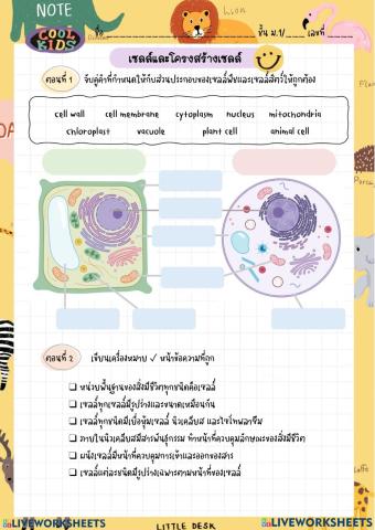 เซลล์และโครงสร้างเซลล์