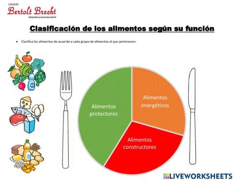 La clasificación de los alimentos según su función