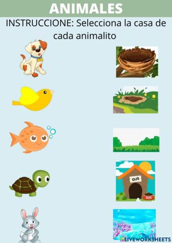 Animales