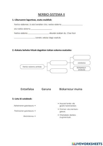 Nerbio-sistema