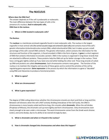 Nucleus Fact Sheet