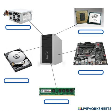 Hardware interno de la computadora