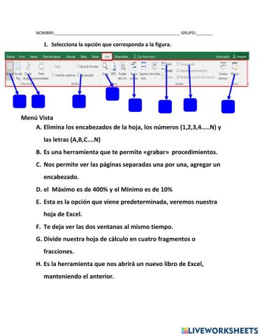 Pestaña de vista en excel