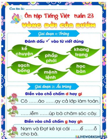 Ôn tập tuần 23