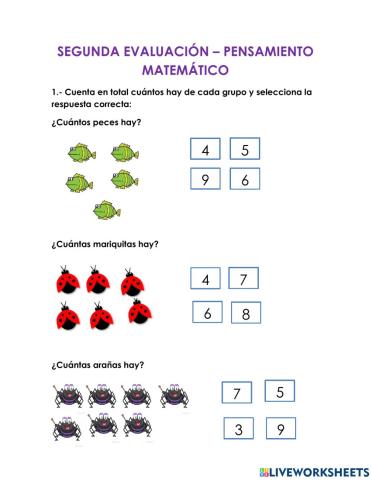 Segunda evaluación