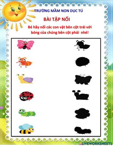 Bài tập nối