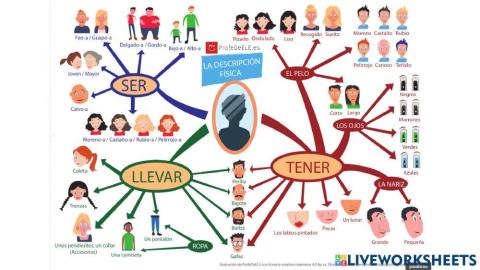 Vocabulario de Descripción Física