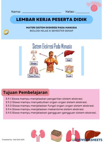 E-lkpd sistem ekskresi xi