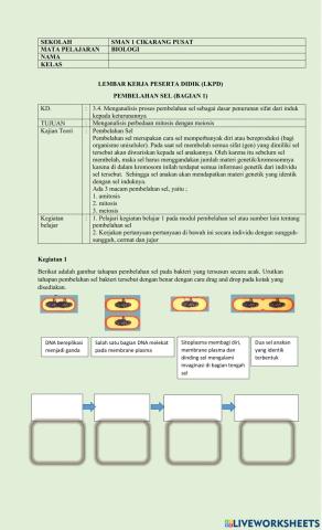 LKPD PEMBELAHAN SEL 1
