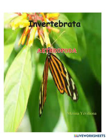 Arthropoda