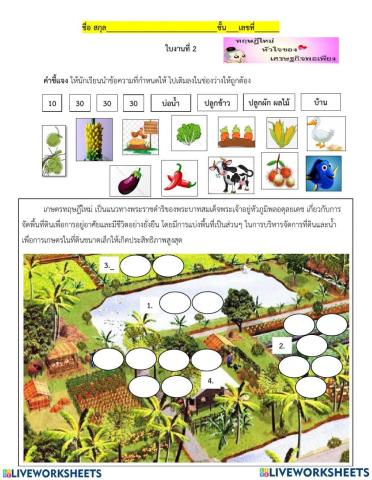 เกษตรทฤษฎีใหม่