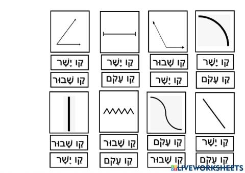 גאומטריה - קווים