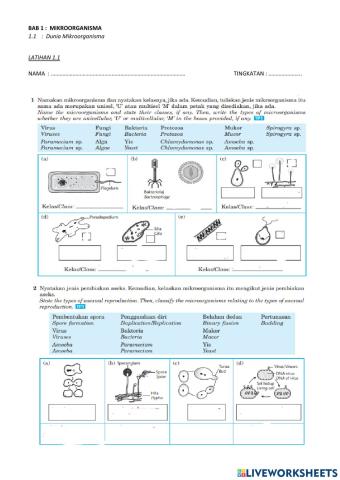 Bab 1 : mokroorganisma