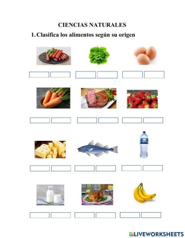 Clasificación de los alimentos