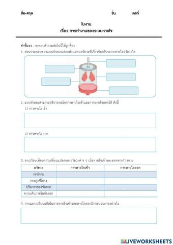 ม.2 - ใบงาน เรื่อง การทำงานของปอด