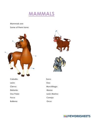 Mammals