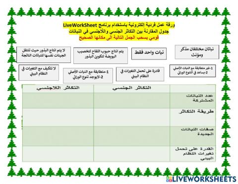 ورقة عمل الهدف الثاني