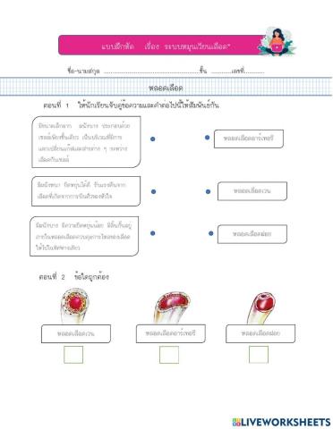 แบบฝึกหัดระบบหมุนเวียนเลือด