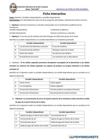 Variables de Investigación