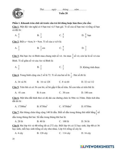 BTCT Toán tuần 28