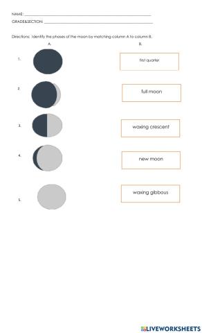 Phases of the moon