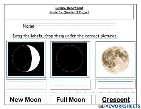 Moon Phases