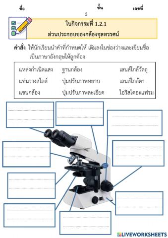 ใบกิจกรรมที่ 1.2.1 ส่วนประกอบของกล้องจุลทรรศน์