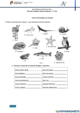 Diversidade de animais (até locomoção)