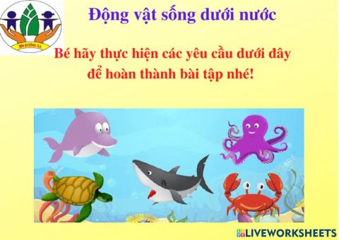 Giáo viên Nguyễn Thị Loan