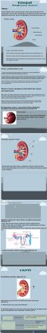 LKPD materi sistem ekskresi ginjal