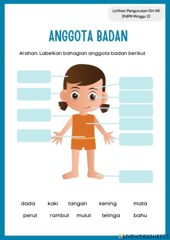 Anggota Badan