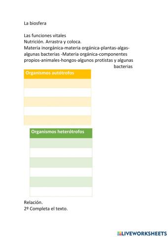 Las funciones vitales