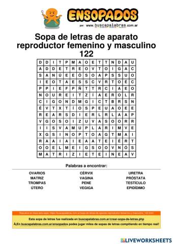 Aparato reproductor masculino y femenino