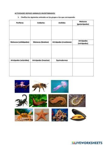 Animales invertebrados 1ºE.S.O.