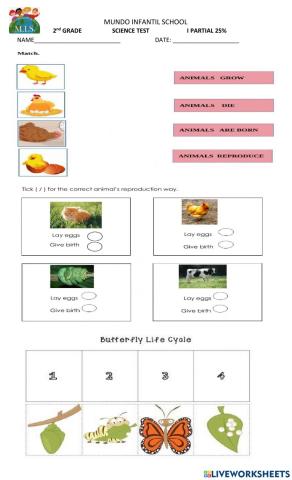 Life cycle