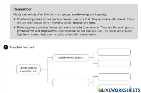 Classification of plants