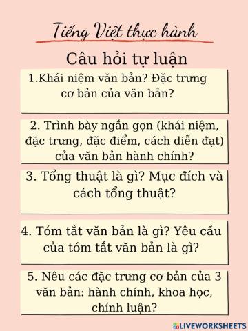 Tiếng Việt thực hành