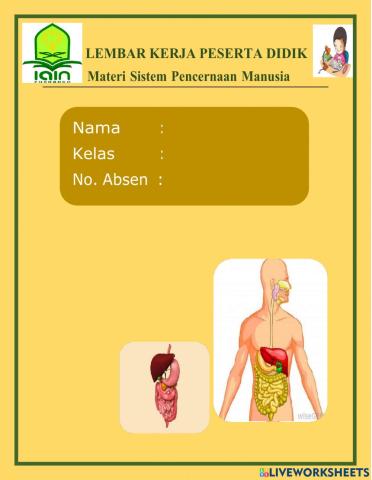 Lkpd sistem pencernaan