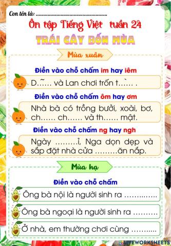 Phiếu ôn tập tuần 24