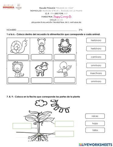 SEGUNDA EVALUACIÓN TRIMESTRAL c. NATURALES TERCER GRADO