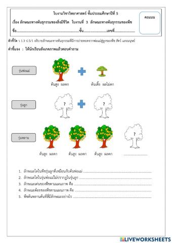 การถ่ายทอดลักษณะทางพันธุกรรม